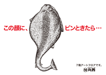 �f�ނ悯��΂��ׂĂ悵
